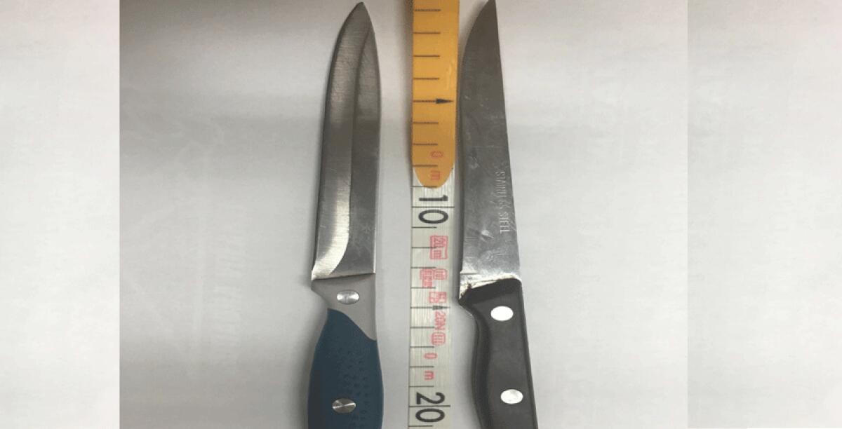 Nascondevano due coltelli, due fratelli romeni denunciati dalla polizia dopo una lite - 