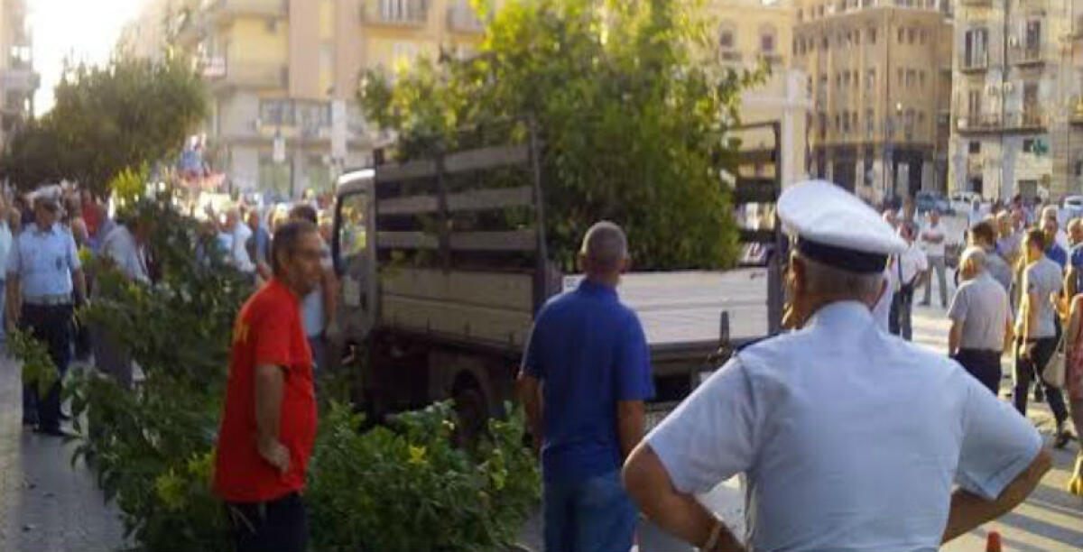 Danneggiati gli alberi di corso Vittorio Emanuele, tre sono stati rimossi - 