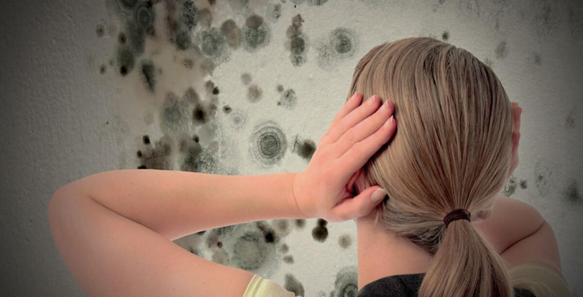 I rischi della muffa in casa, ecco i rimedi naturali e quelli professionali - 