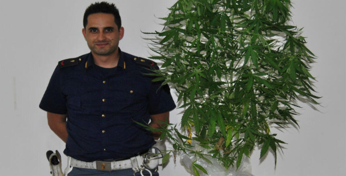 Una pianta di marijuana nella veranda di casa, denunciato un giovane di Niscemi - 