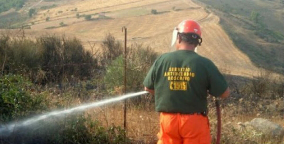 La morte di un operaio della forestale, "gravi inadempienze": in aula parla il perito - 