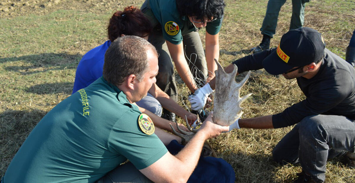 Guardia venatorie in stato di agitazione, la stagione di caccia è a rischio - 