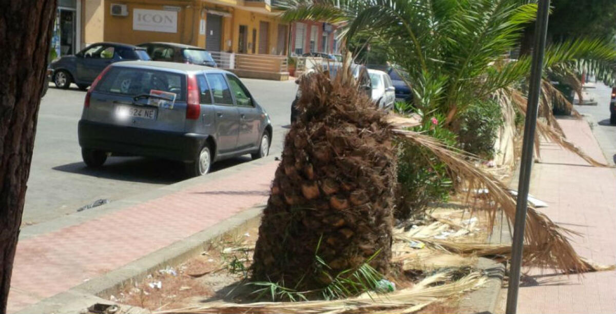 Tante aree verdi in condizioni precarie: Torrenti, "perchè la Ghelas sta cambiando strategie manageriali?" - 
