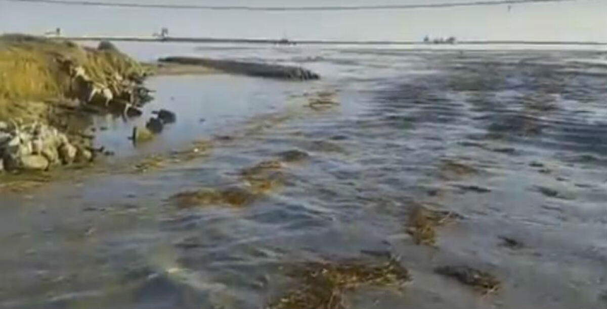 Reflui non depurati sversati in mare, il sindaco dà quindici giorni ad Eni: "Intervenire sul depuratore consortile" - 