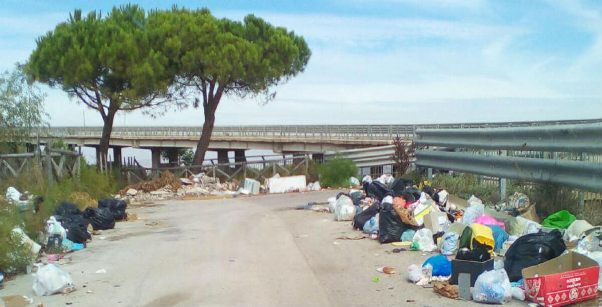 Montelungo è un immondezzaio, carcasse di animali e scarti alimentari "cuociono" al sole - 