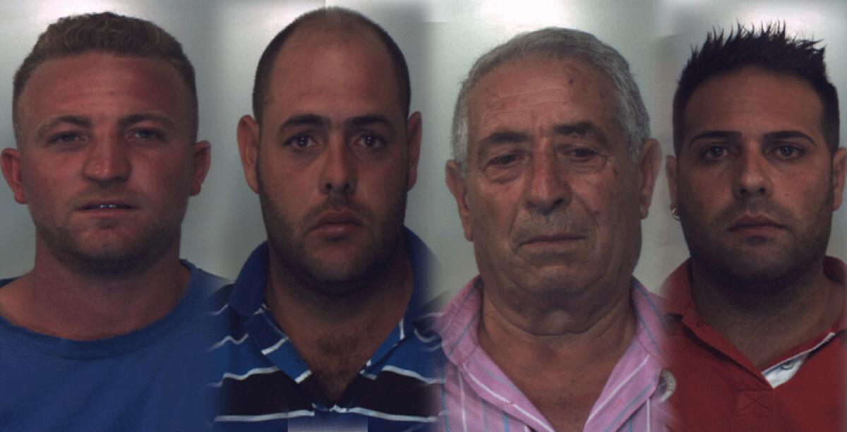 Sorpresi a coltivare una piantagione di canapa, arrestati quattro uomini - 