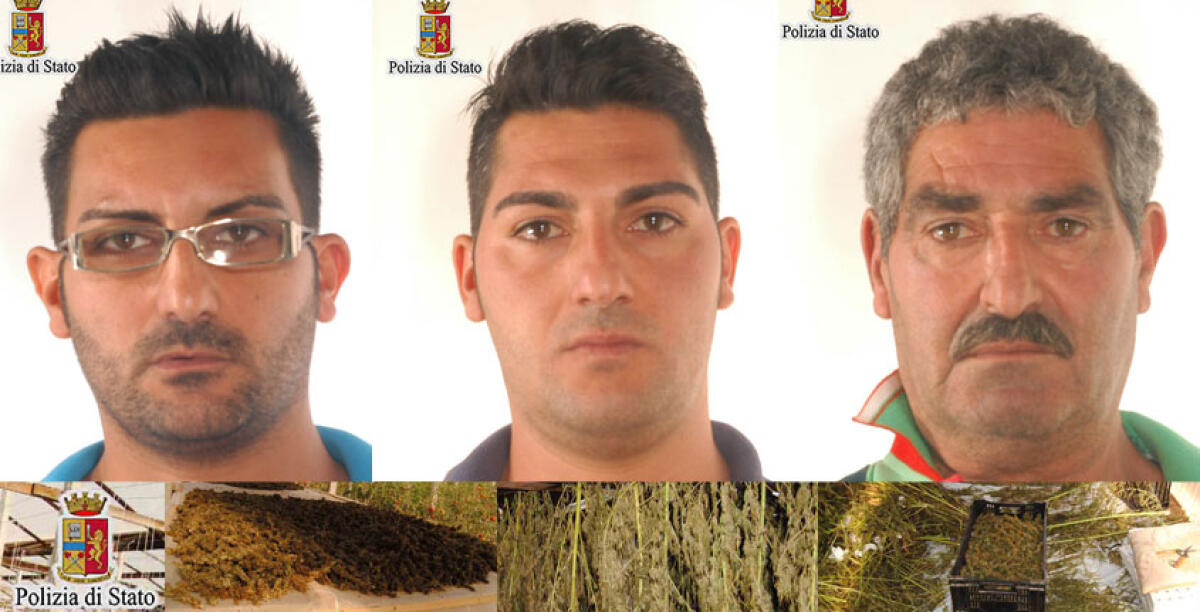 Il blitz a Bulala, quaranta chili di marijuana erano pronti ad essere piazzati: un giro da tre milioni di euro - 