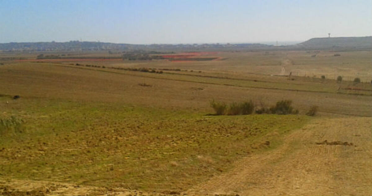 Il rilancio dell'agricoltura locale passa dagli esperti universitari, ecco l'intesa con Catania - 