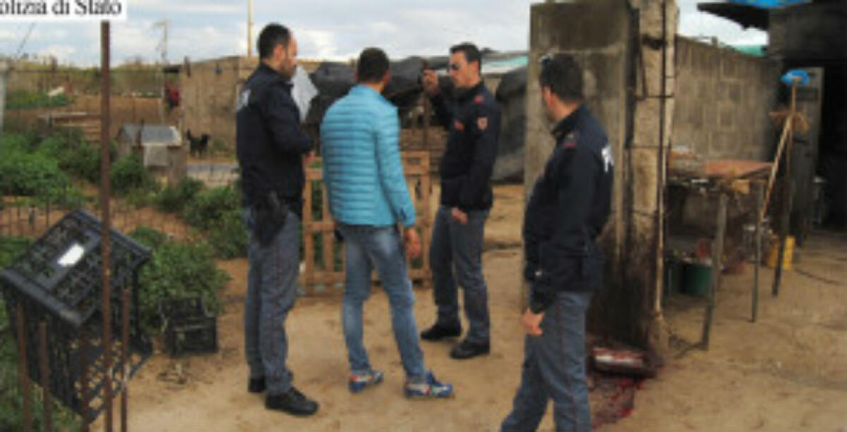 Spari a Spinasanta, due pastori condannati: la rivalità per l'occupazione dei terreni - 