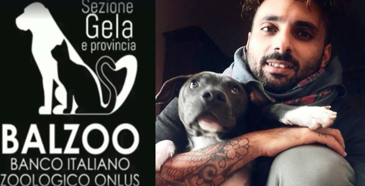 A Gela arriva Balzoo, il primo banco alimentare per sostenere cani e gatti - 