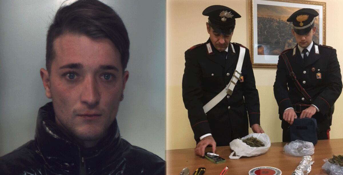Hashish e canapa nascosti nel garage di casa, arrestato un giovane operaio - 