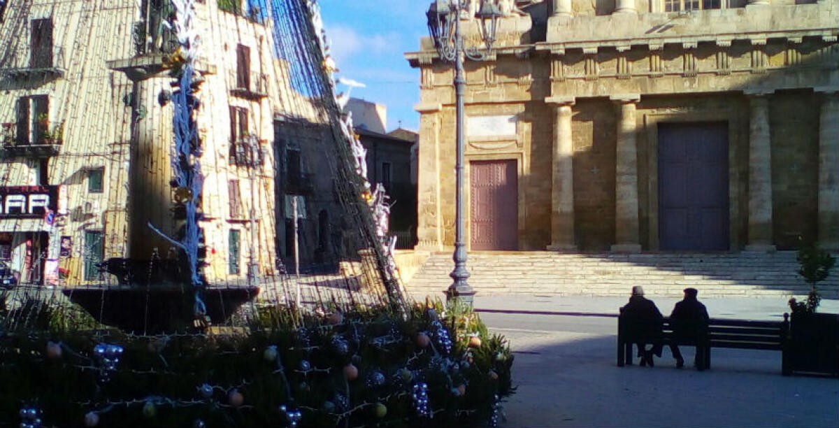 All'ombra dell'albero - 