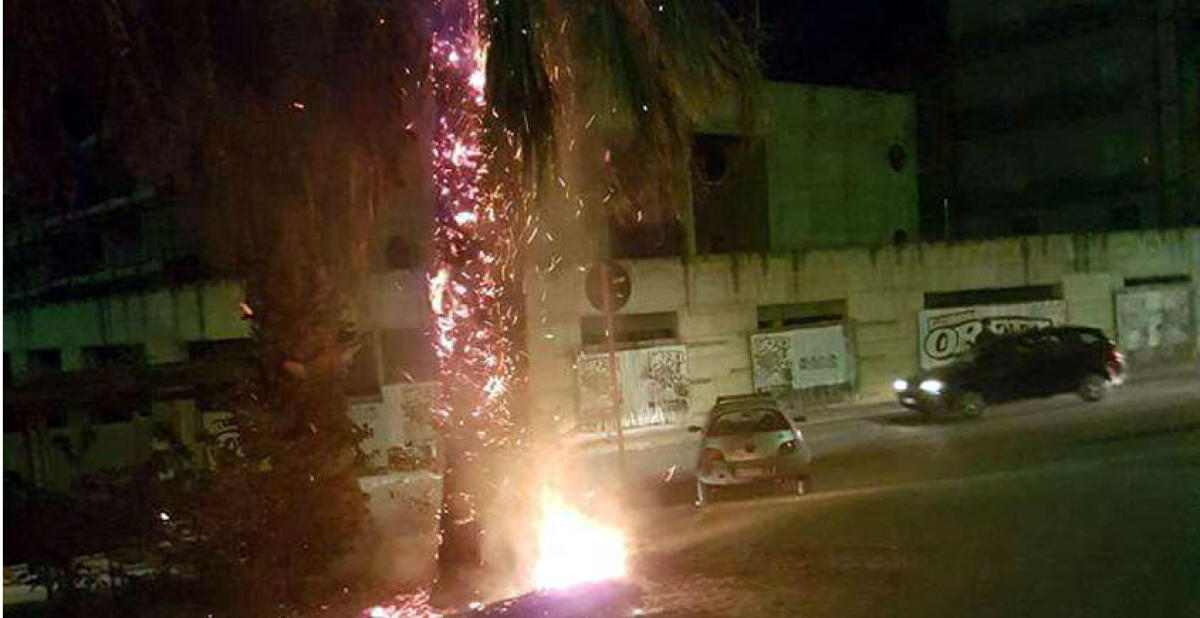 Ora incendiano anche le palme per noia, paura in via Butera - 