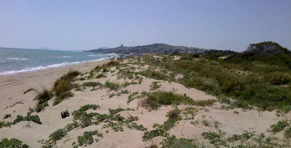 I soldi per il progetto del lungomare a Manfria ci sono, sopralluogo nella frazione balneare -
