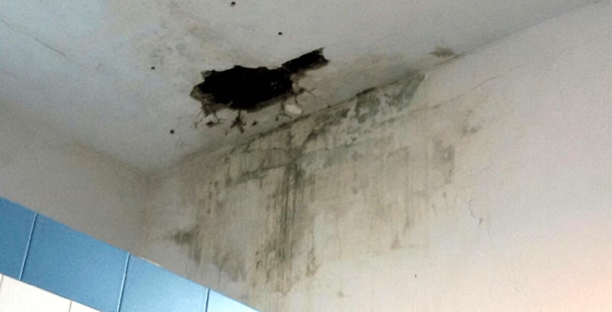 Crolla un pezzo di controsoffitto nel bagno della scuola Aldisio, alunni e genitori in ansia - 