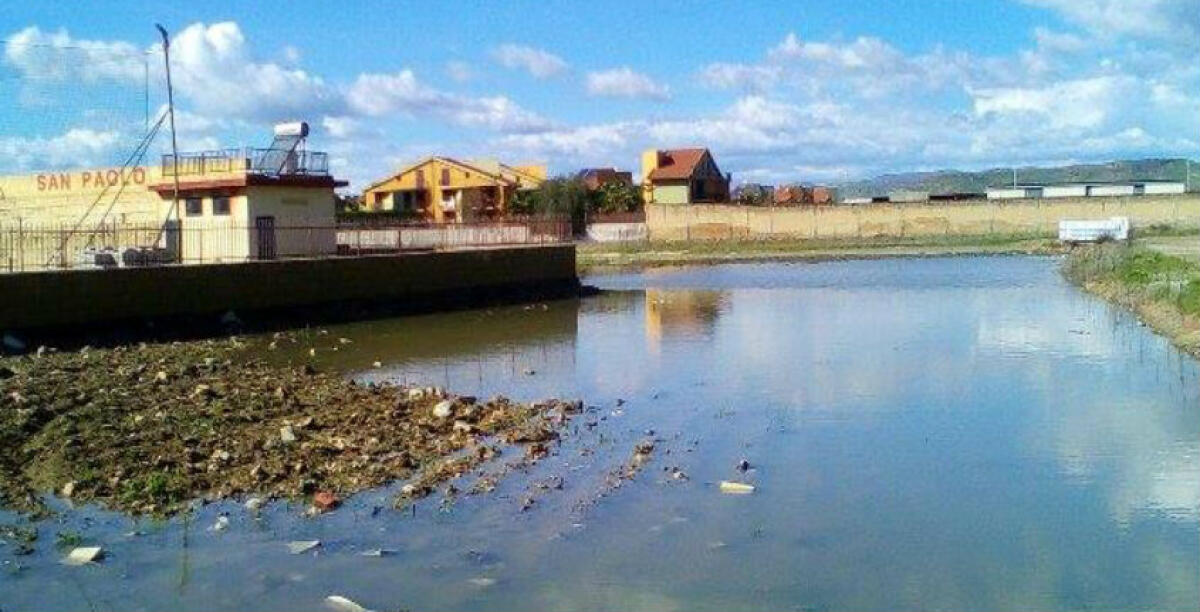 Un terreno privato invaso da reflui e acque piovane, c'è una denuncia su ciò che accade a Modernopoli - 
