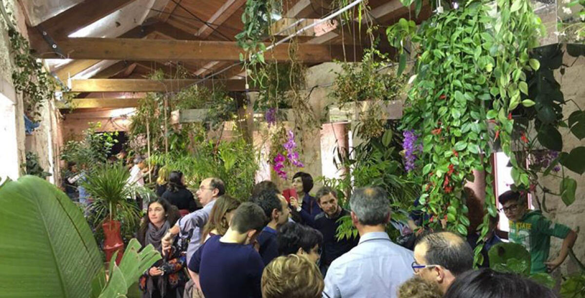 Nel convento settecentesco allestita la più grande casa delle farfalle - 