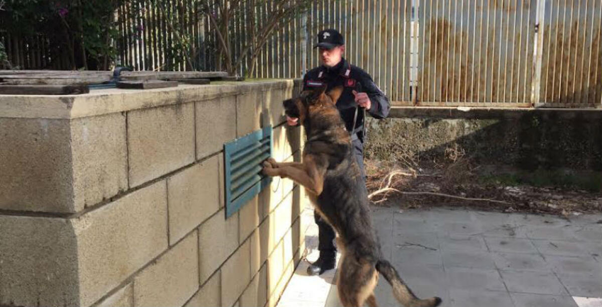 Droga nell'abitazione di Villaggio Aldisio, Daniele Nocera rimane agli arresti domiciliari - 