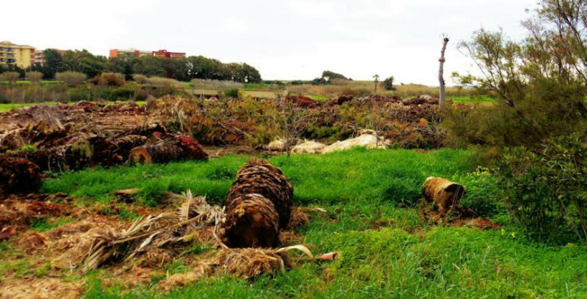 I grillini riaprono il caso rifiuti, chiesti gli atti sull'impianto di compostaggio: denunciata la maxi discarica di Montelungo - 