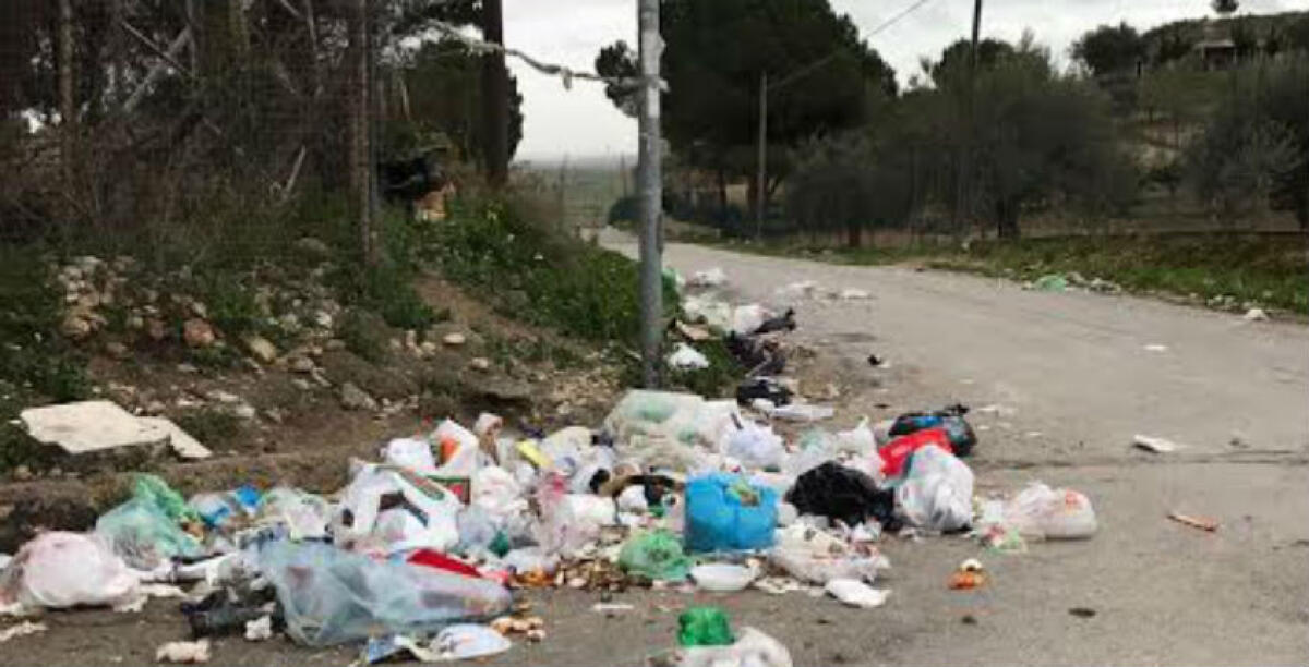 A Borgo Manfria rifiuti scaricati a pochi metri dal centro Aias, cosa vuol fare la giunta? - 