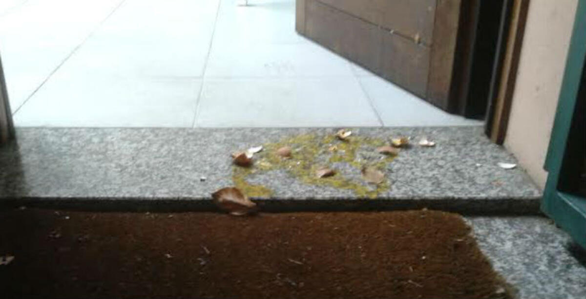 L'abitazione del vicino imbrattata e le minacce, assolta una donna: non c'era lei dietro ai danneggiamenti - 