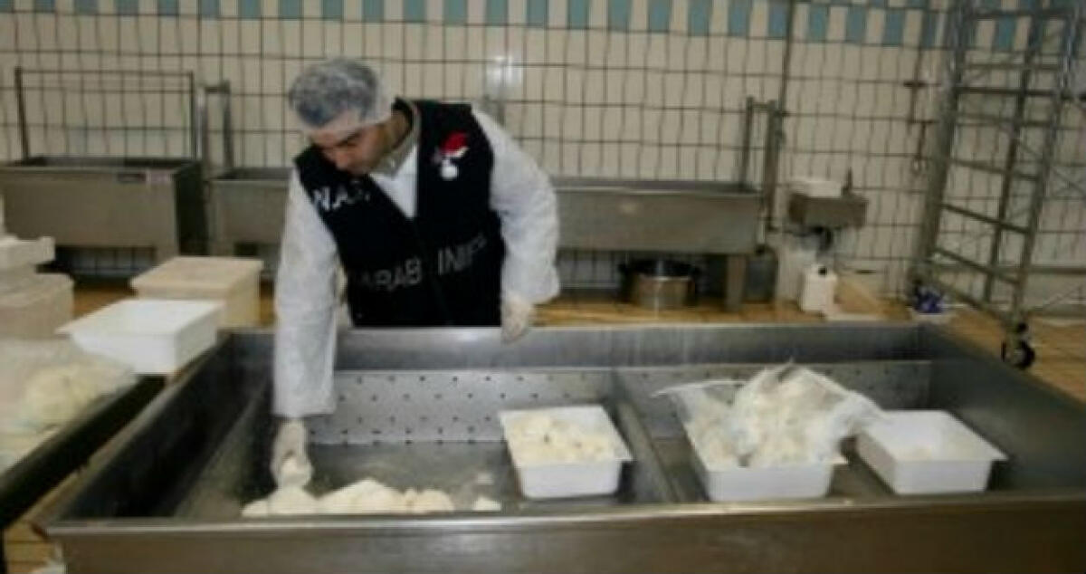 Quindici detenuti ad un corso di caseificazione promosso dal Rotary - 