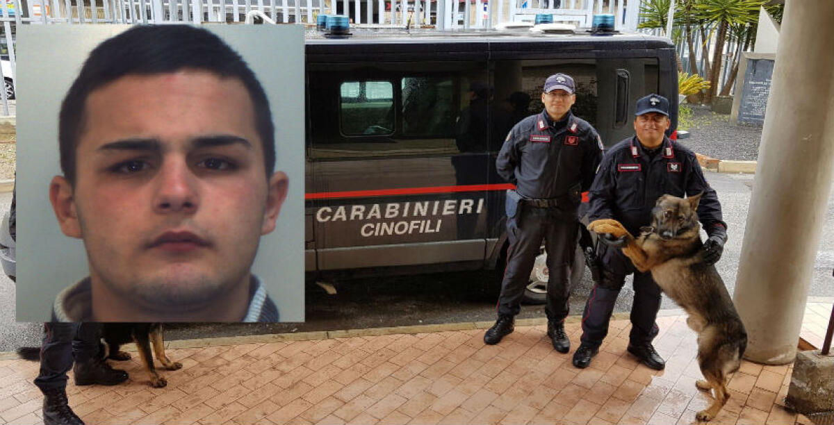 I cani antidroga scoprono 125 grammi di marijuana, arrestato un diciottenne - 