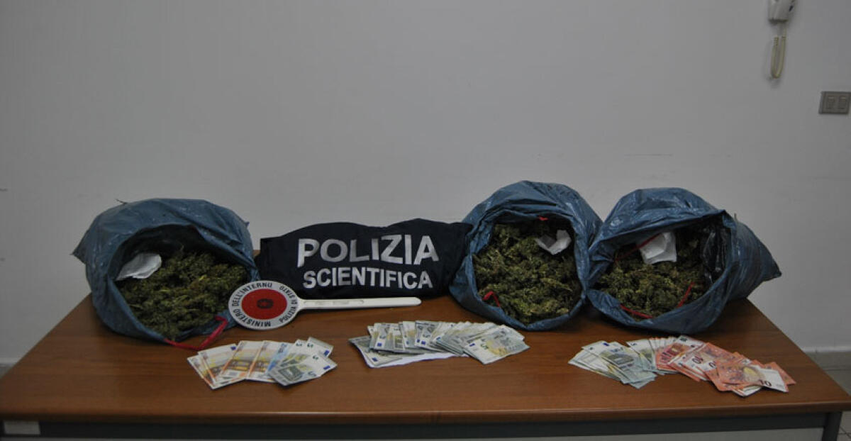 Marijuana nascosta nei vicoli e nelle fioriere del centro storico scoperta dai cani antidroga - 