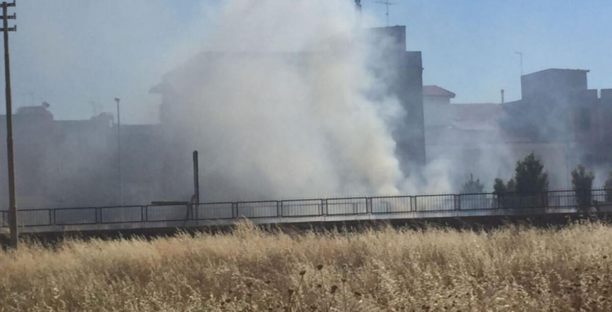 La città nella morsa degli incendi alle sterpaglie, allarme degrado in tutti i quartieri - 