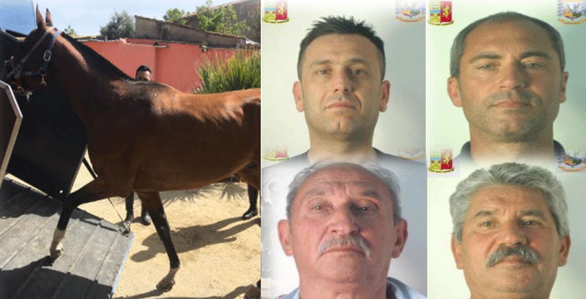 Blitz durante una corsa clandestina di cavalli: otto arresti e 13 denunce, ci sono anche 4 gelesi -
