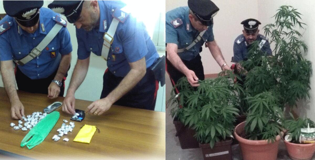 Sei piante di canapa indiana sequestrata a casa di un pregiudicato riesino - 