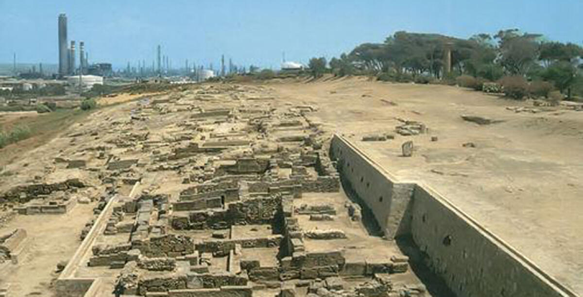 Adottiamo l'Acropoli, parte la campagna per consentire ai privati di ripulire l'area archeologica - 