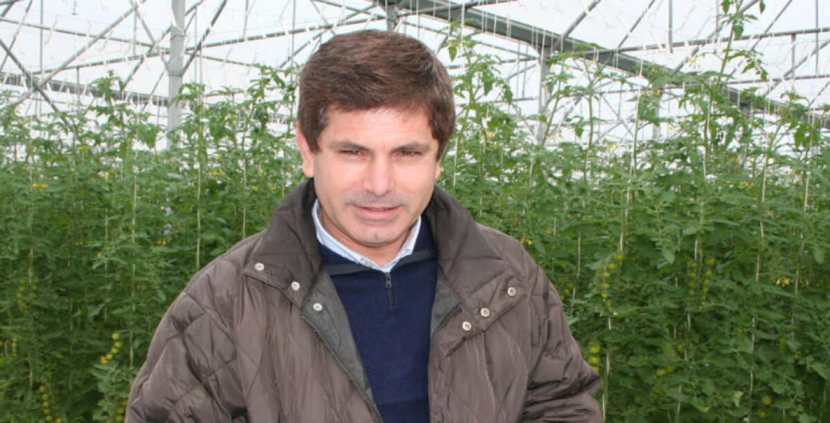 "Lo Stato deve restituire i soldi spesi da Agroverde durante il sequestro", la Cassazione dà ragione ad Italiano - 