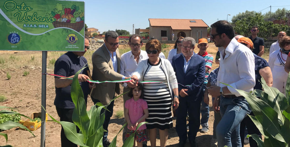 L'orto urbano curato dai ragazzi dell'Aias inizia a dare i suoi frutti - 