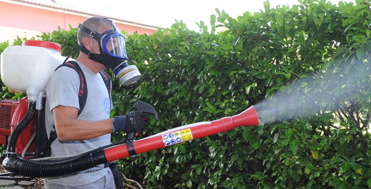 Disinfestazione e deblattizzazione, dal 31 luglio riprendono gli interventi - 