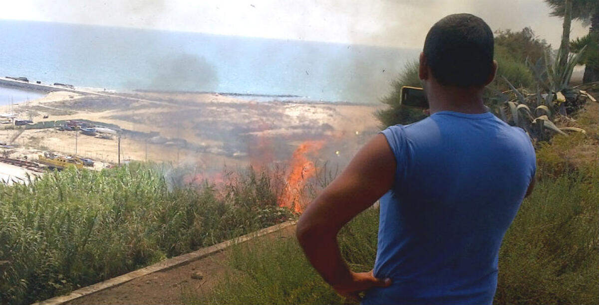 Il costone a ridosso delle mura Timoleontee è da bonificare, contro il rischio incendi pronta un'interrogazione - 