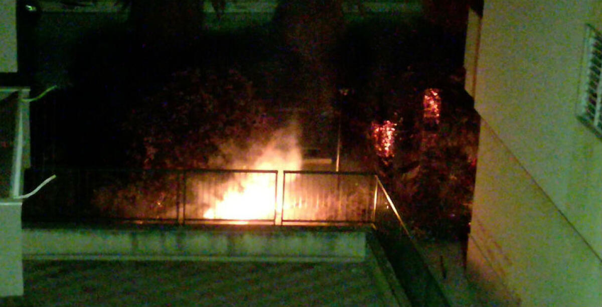 Fuoco in un giardino pubblico a Caposoprano, le fiamme a ridosso di uno stabile: i residenti fermano il rogo - 