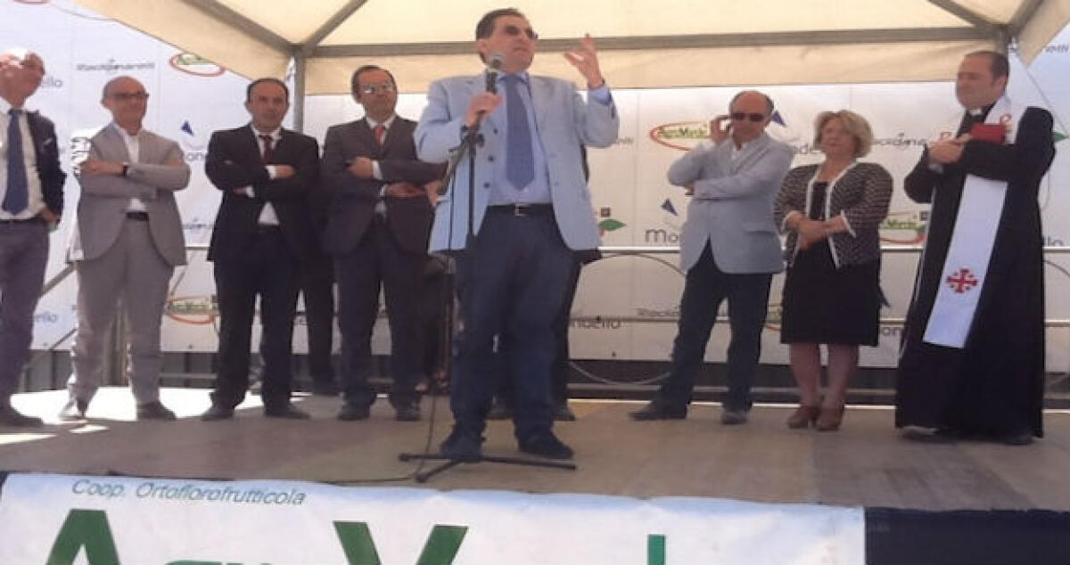 Il disastro del polo Agroverde, Emilio Giudice rilancia: "Un danno enorme...in quell'area serve un grande impianto di fitodepurazione delle acque" - 
