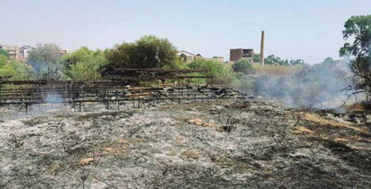 Brucia l'area archeologica di Caposoprano, l'assessore Salinitro: questi roghi preoccupano - 