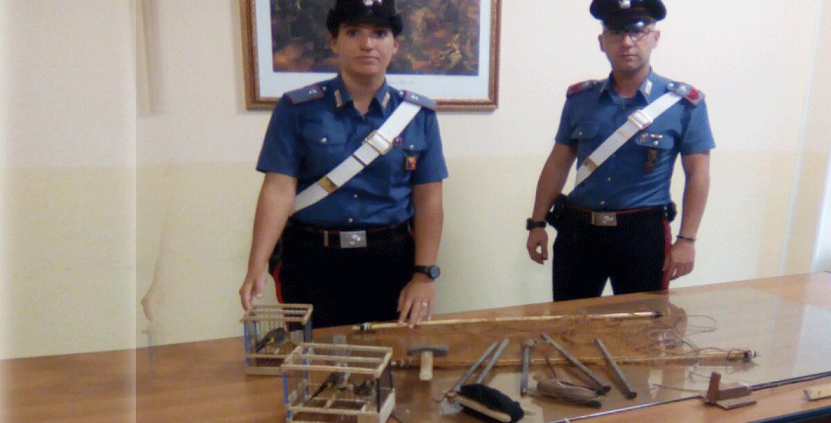 Ladri di cardellini sorpresi dai carabinieri a Marchitello, denunciati due uomini - 