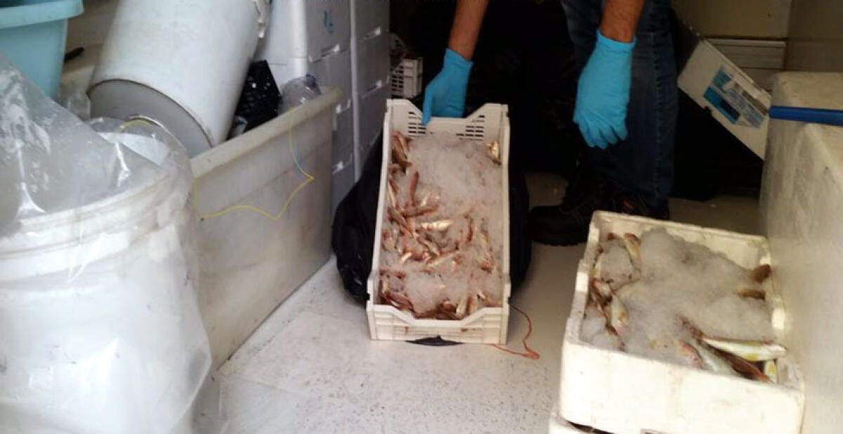 Vendevano pesce per strada abusivamente, multati due ambulanti - 