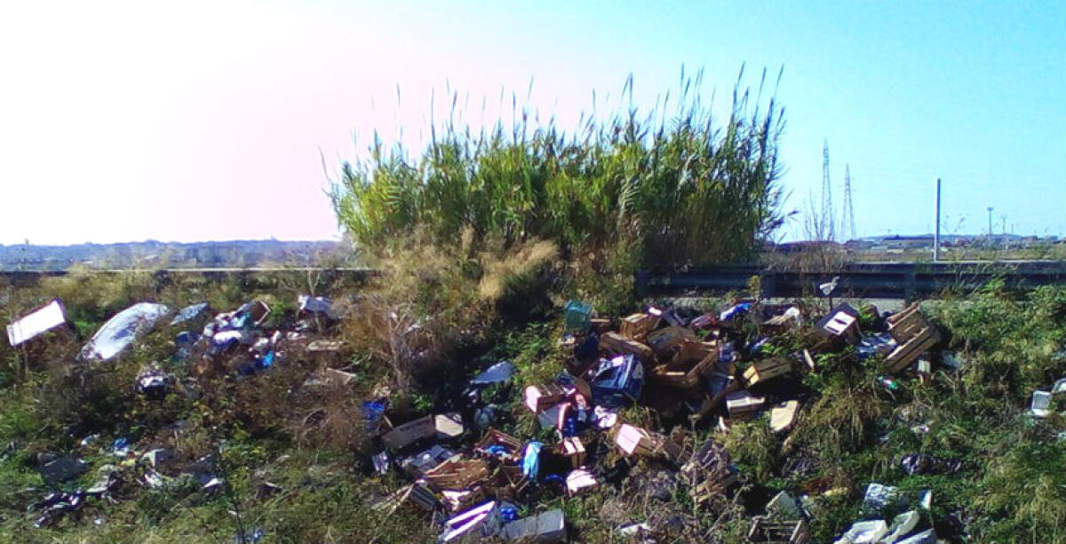 Interi assi stradali trasformati in discariche abusive, c'è di tutto a ridosso di Brucazzi: sulla differenziata spuntano i dati Ispra - 