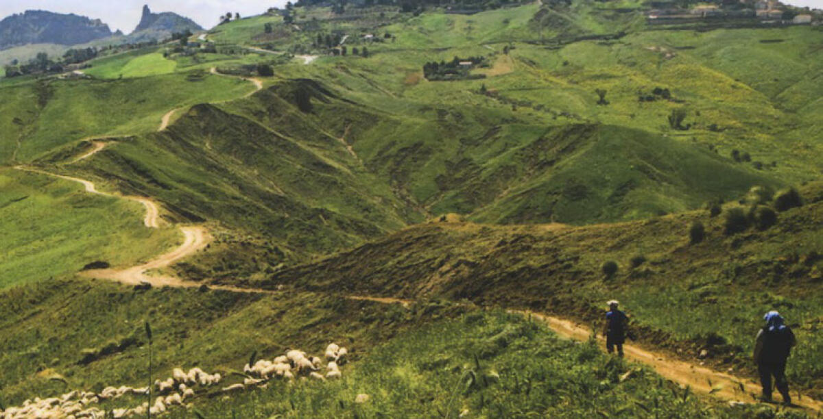 Una guida per riscoprire le vie francigene della Sicilia da percorrere a piedi - 