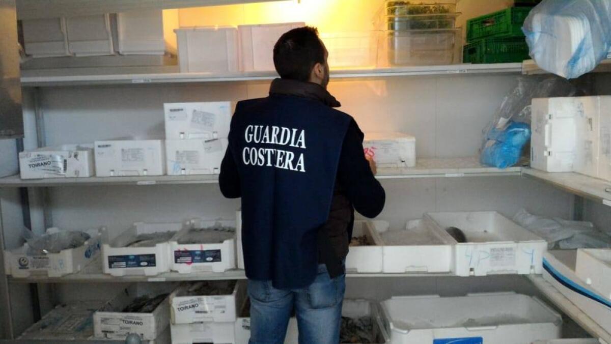 Rivendite e ristoranti, controlli sulla filiera del pesce: sequestri della capitaneria - 