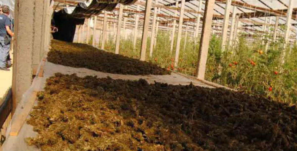 Marijuana coltivata a Feudo Nobile, in aula sentito un altro poliziotto - 