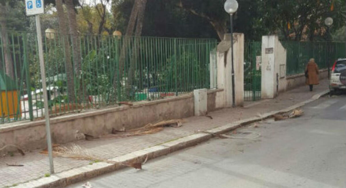 Botte e richieste di soldi alla villa comunale, Baltag a processo -