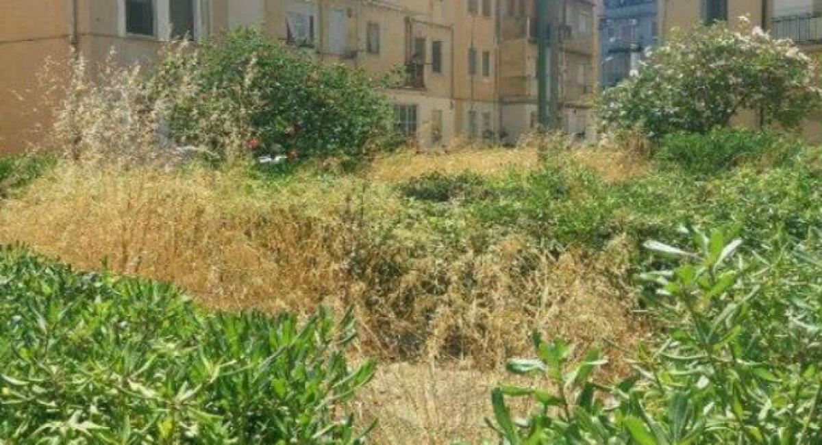 Sterpaglie e vegetazione spontanea ovunque, un'interrogazione: "Molte zone della città a rischio" - 