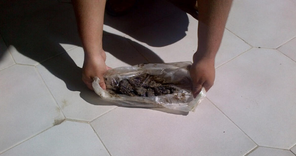 "E' potenzialmente contaminato", ancora idrocarburi nel terreno a Grotticelli -
