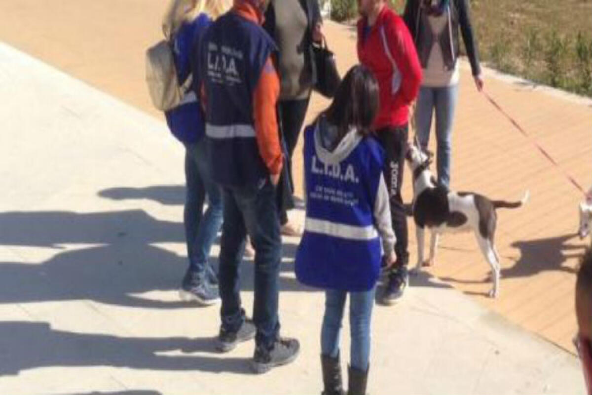 Salta la pet therapy della Lida, revocato l'affidamento dell'ex mattatoio - 