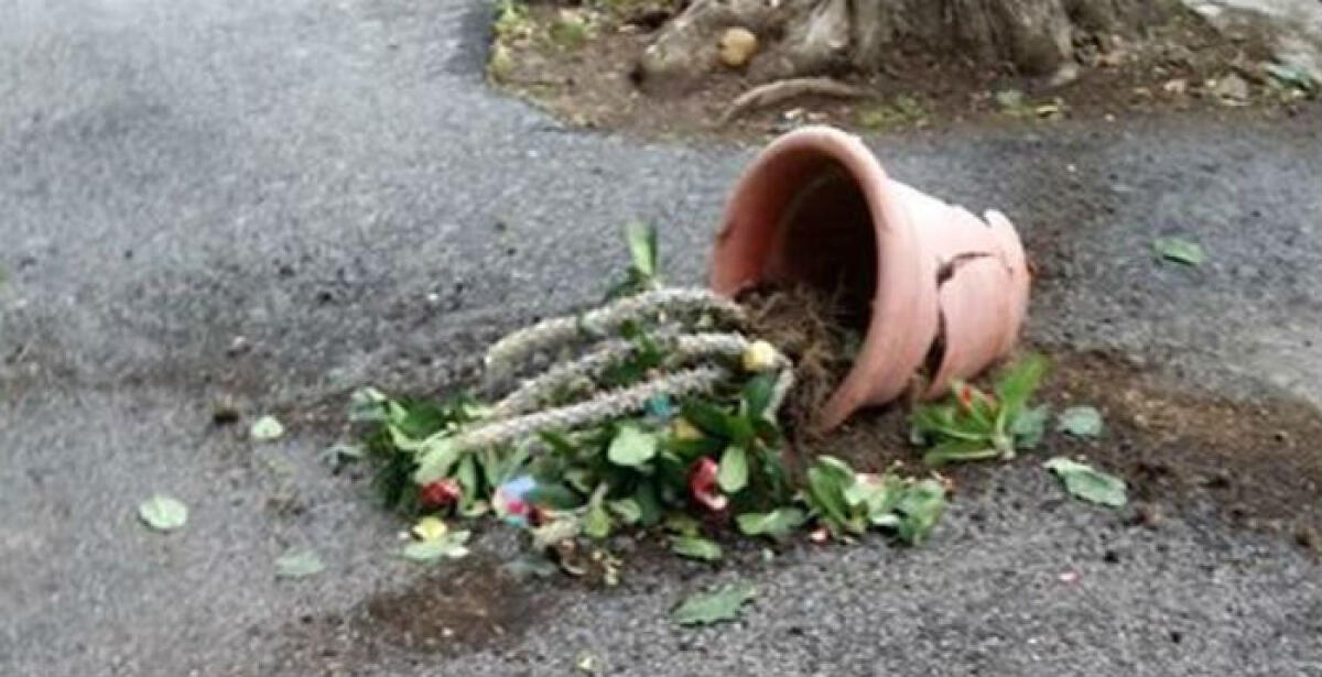 Lanciò un vaso contro un vicino, un'anziana ai domiciliari: condannata per tentato omicidio -